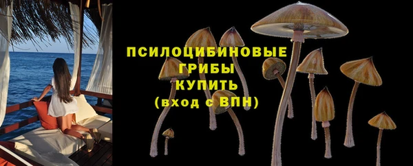 кокс Аркадак