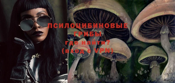 кокс Аркадак