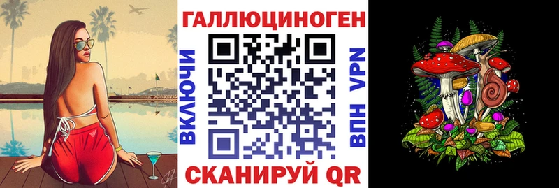 закладки  Бавлы  Псилоцибиновые грибы Magic Shrooms 
